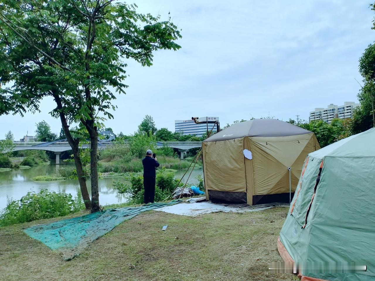 生活从不会因为你哭泣就温柔以待，但你可以靠自己的努力，活成自己的避风港。