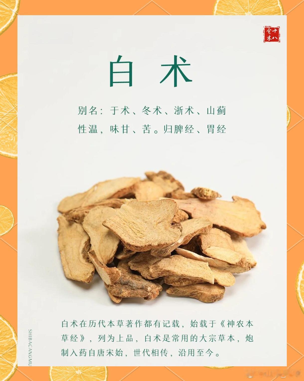 白术“闭气”之谜：张仲景为何在关键时刻弃用这味补药？仲景之学，精微深奥，一方一药