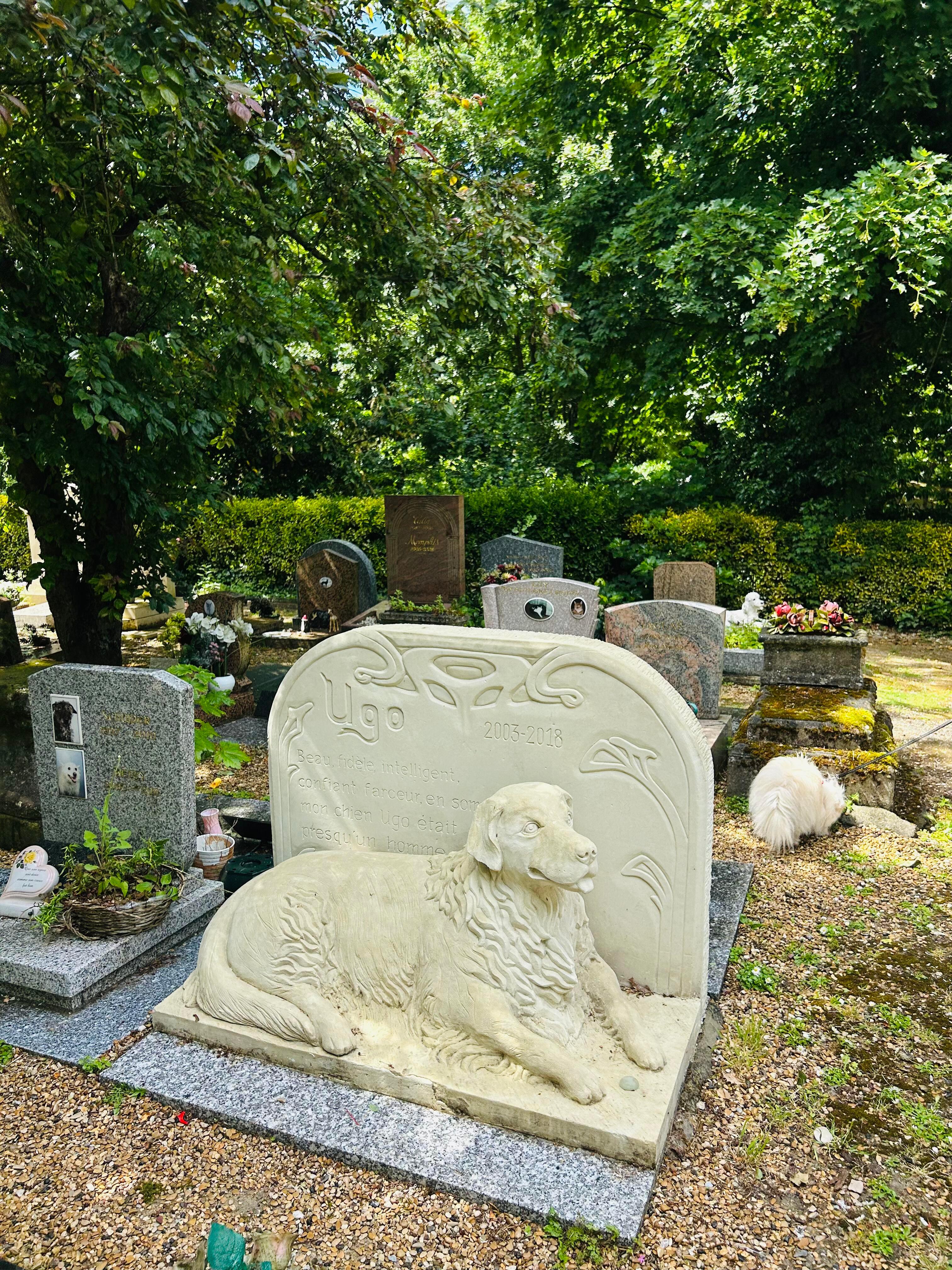 巴黎有座宠物墓园 ​​​