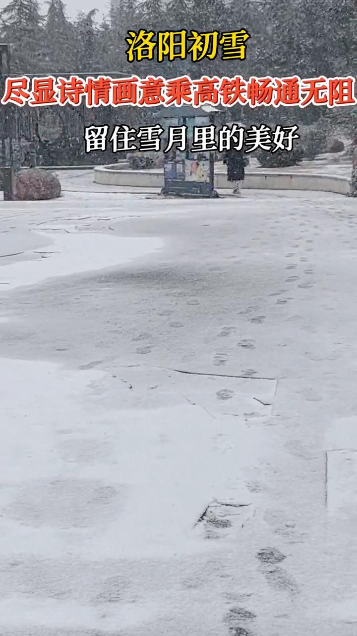洛阳初雪。
尽显诗情画意，乘高铁畅通无阻，留住雪月里的美好。