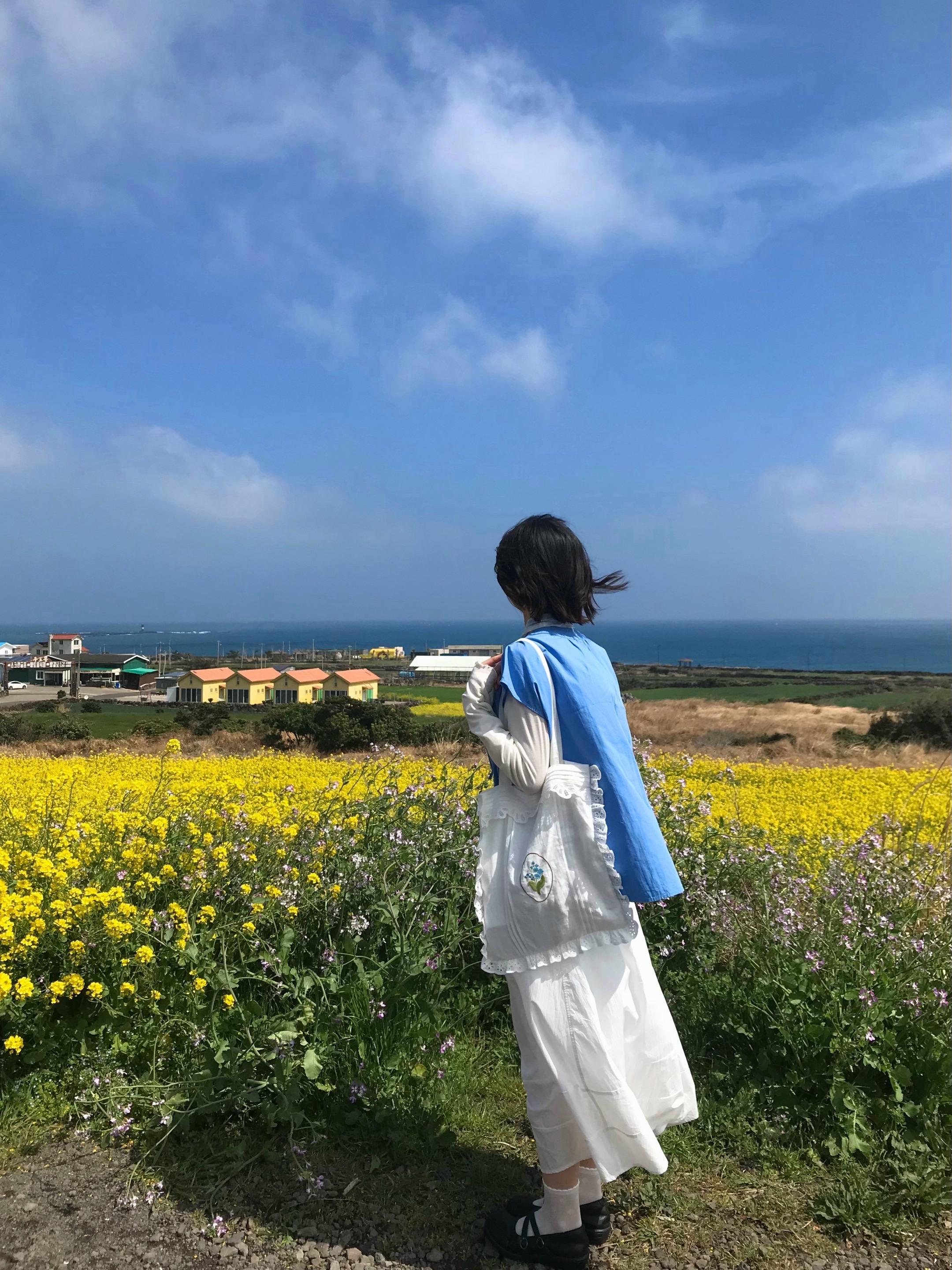 济州岛18张结算。每当看海的时候我就会想起这首歌 海的那边是什么呢..