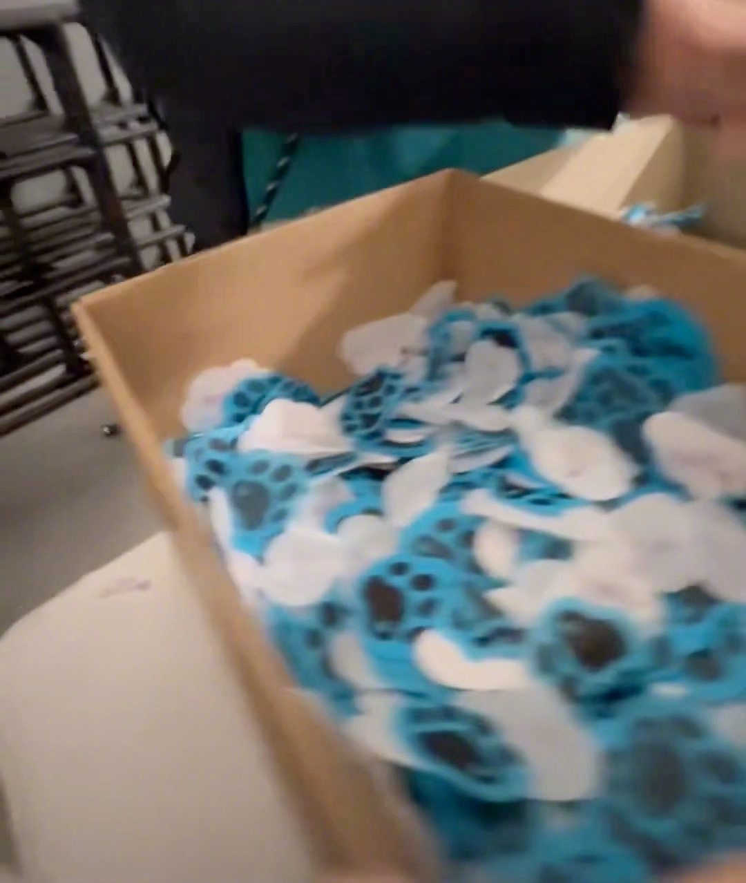 边伯贤演唱会发纸花 边伯贤边伯贤 安可演唱会结束后为粉丝准备了纸花，让粉丝想拿多