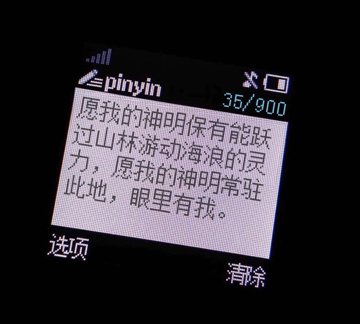 愿我的神明保有能跃过山林游动海浪的灵力，愿我的神明常驻此地，眼里有我。｜《溺水小