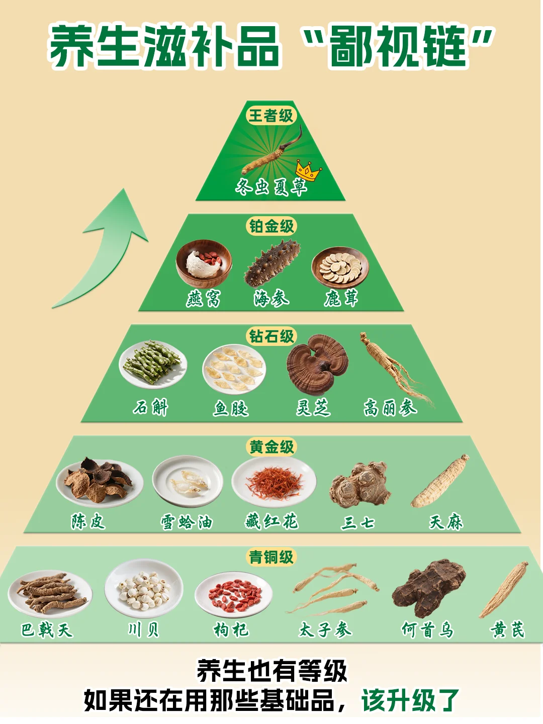 养生鄙视链大揭秘！等级大公开💪