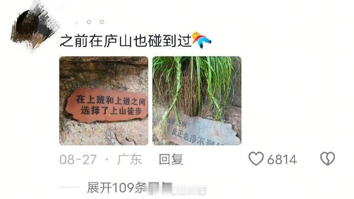 来自景区的邪性提示 ​​​