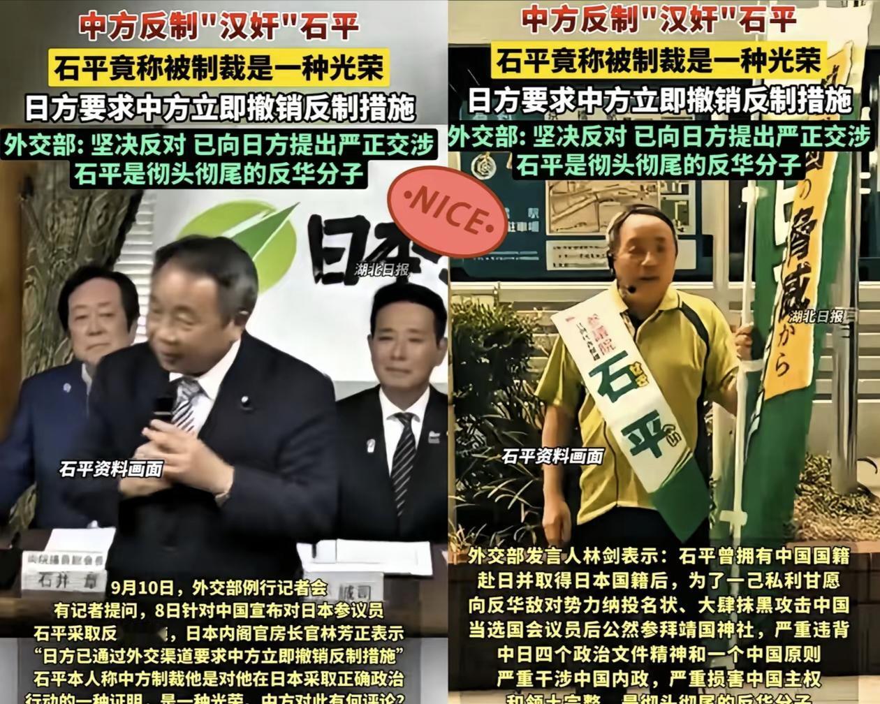 石平做梦都没想到，
自己坚定地投靠了日本
却因为汉奸的身份严重影响
到了自己的儿
