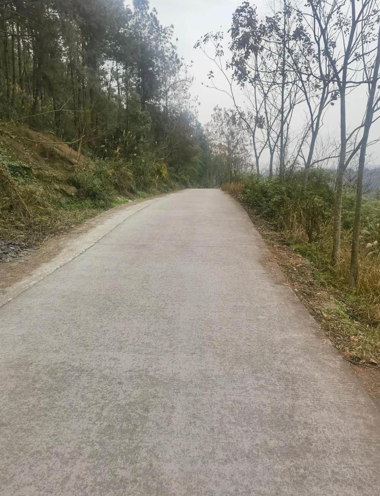 年后第一跑有两三个月没有跑步了为了身体健康还是要继续坚持，人到中年要吃好饭，做好