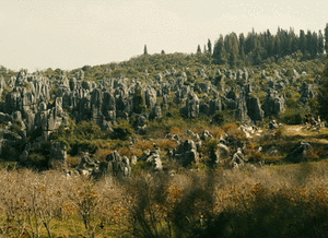 飞猪免单倒计时 马上就要小长假了，我也准备出去玩玩了 