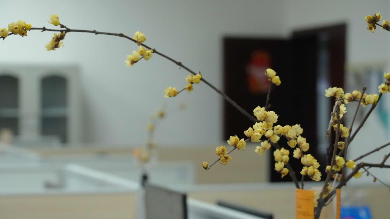 爱上摄影，才懂生活藏着万千温柔
    你有没有过这样的时刻？盯着眼前的风景，满