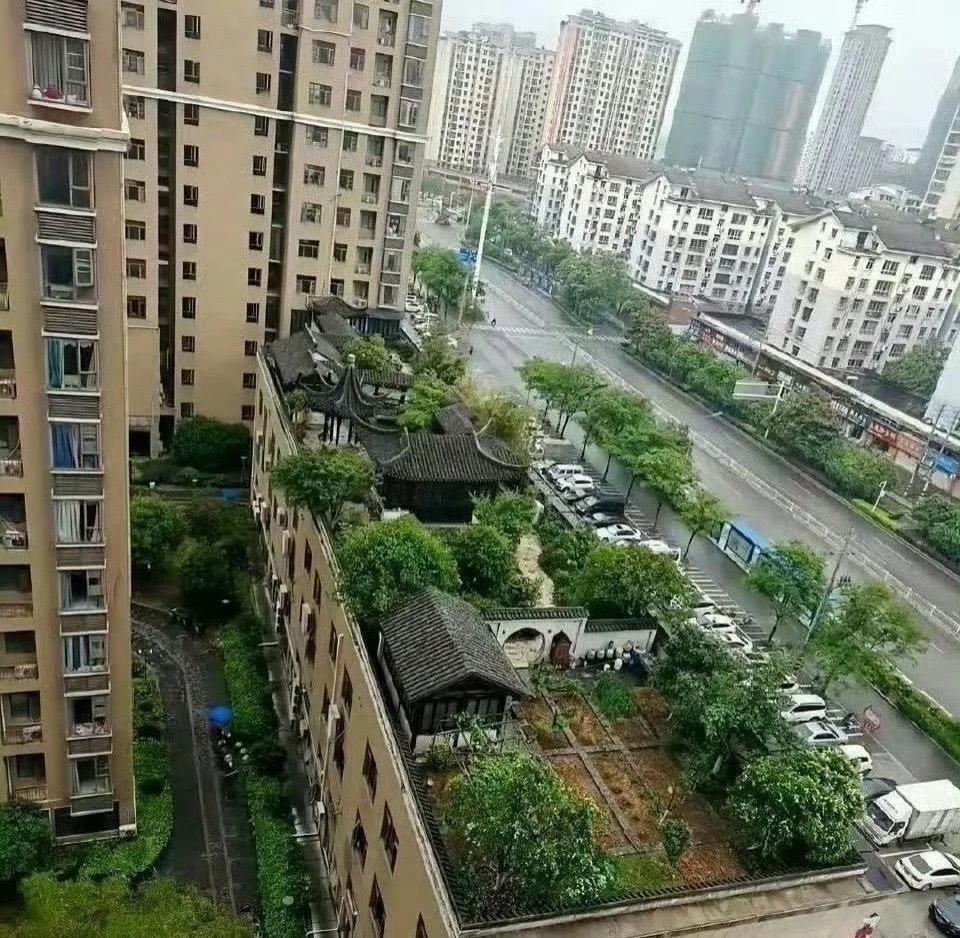 这个环境，给1000万都不卖啊… ​​​