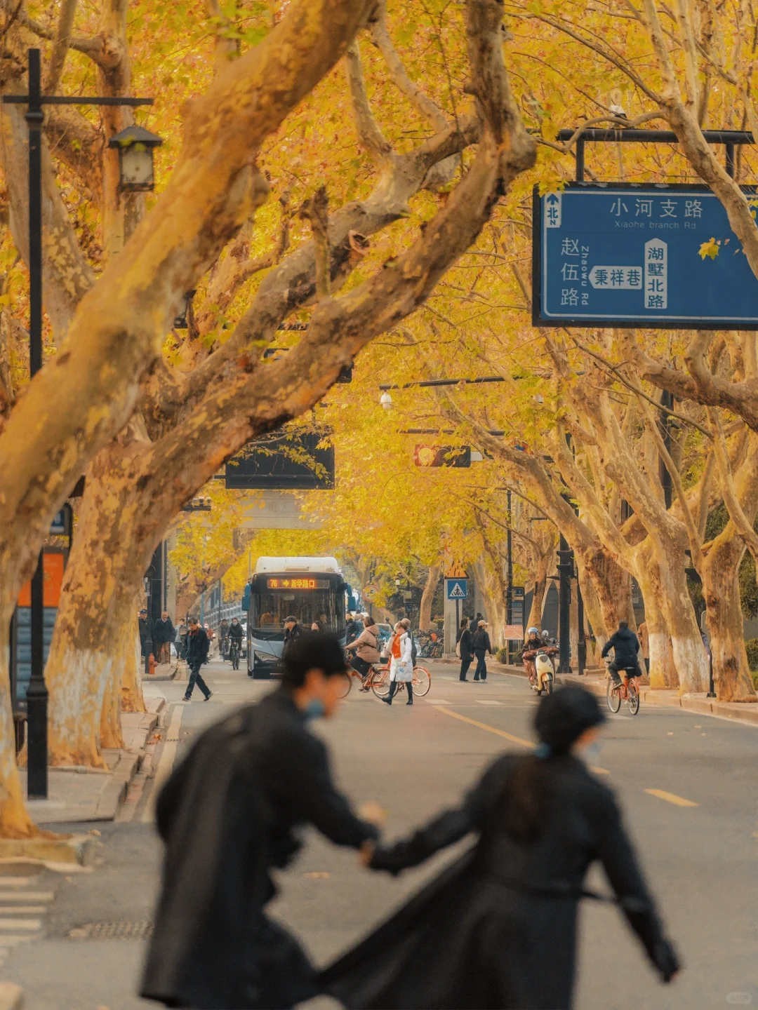 秋日不去西湖🍂我更喜欢走这条运河Citywalk
