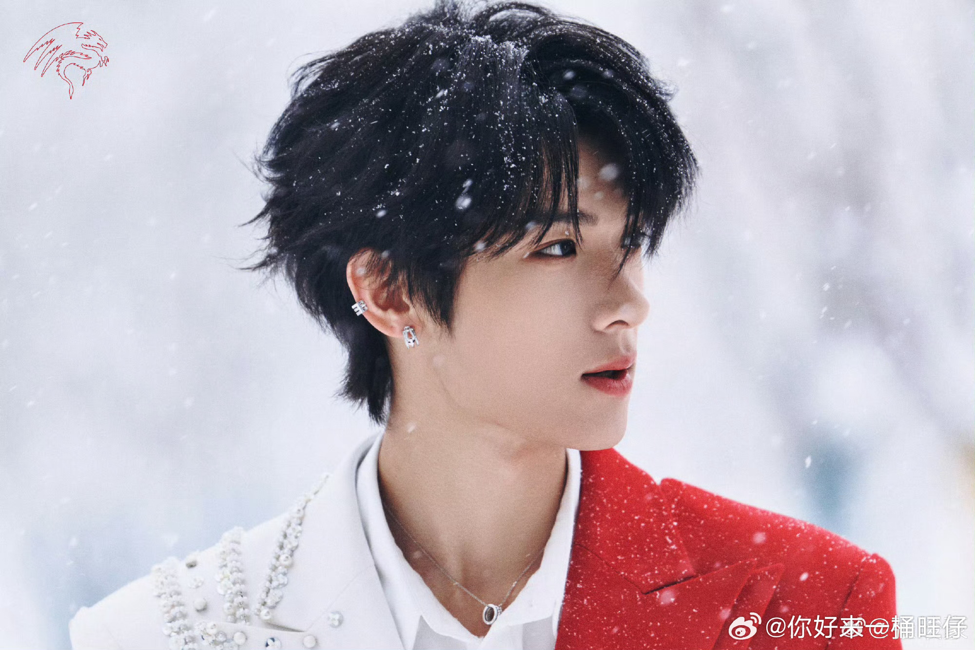 速码！张峻豪今晚元宵喜乐会双节目解锁✅ 一边是气势拉满的非遗锣鼓开场，一边是氛围