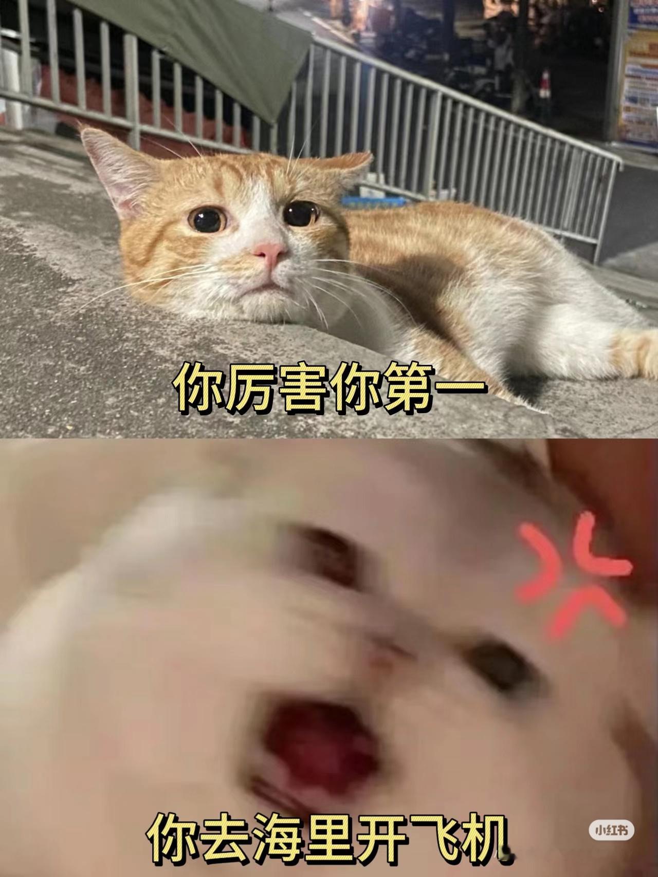 有趣的事要分享给有趣的人。 