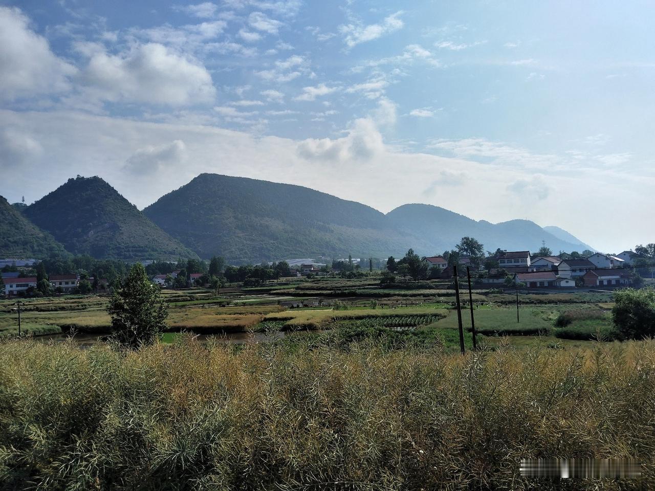 秋尽枫叶红。