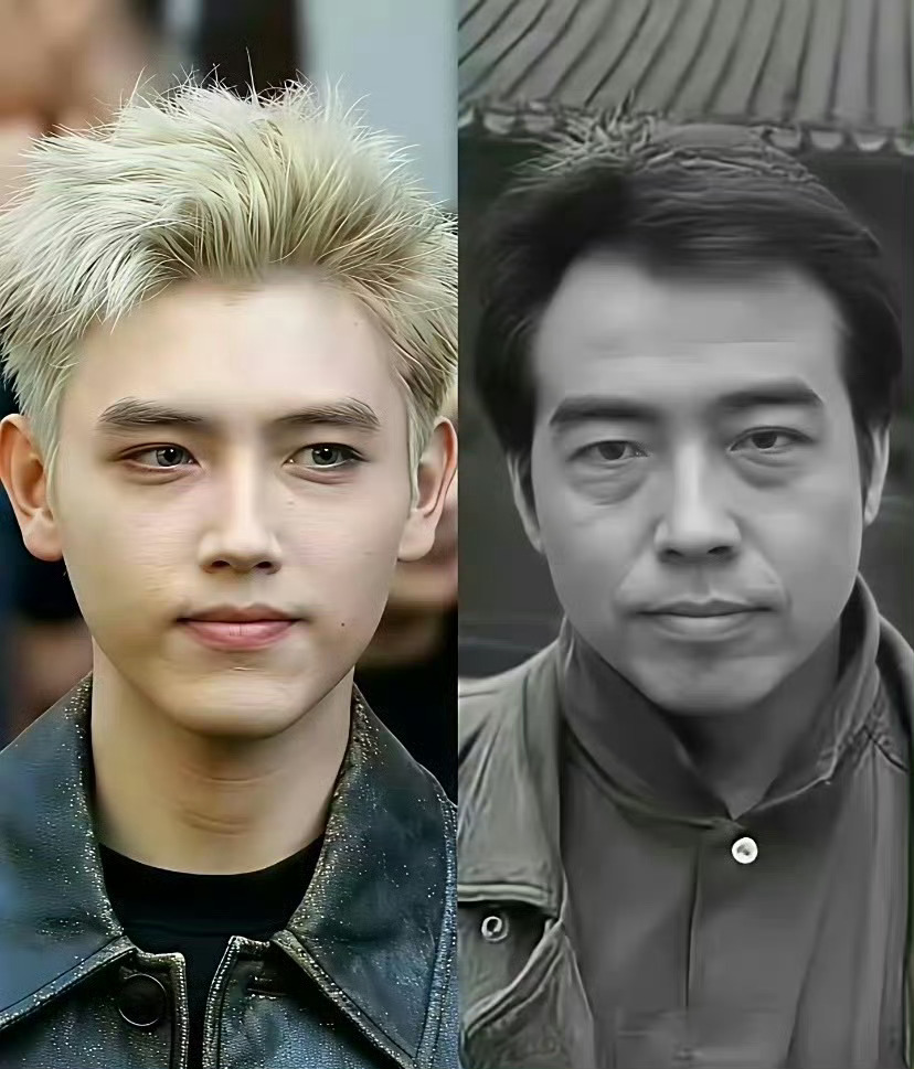 陈飞宇跟陈凯歌简直是一个模子刻出来的 