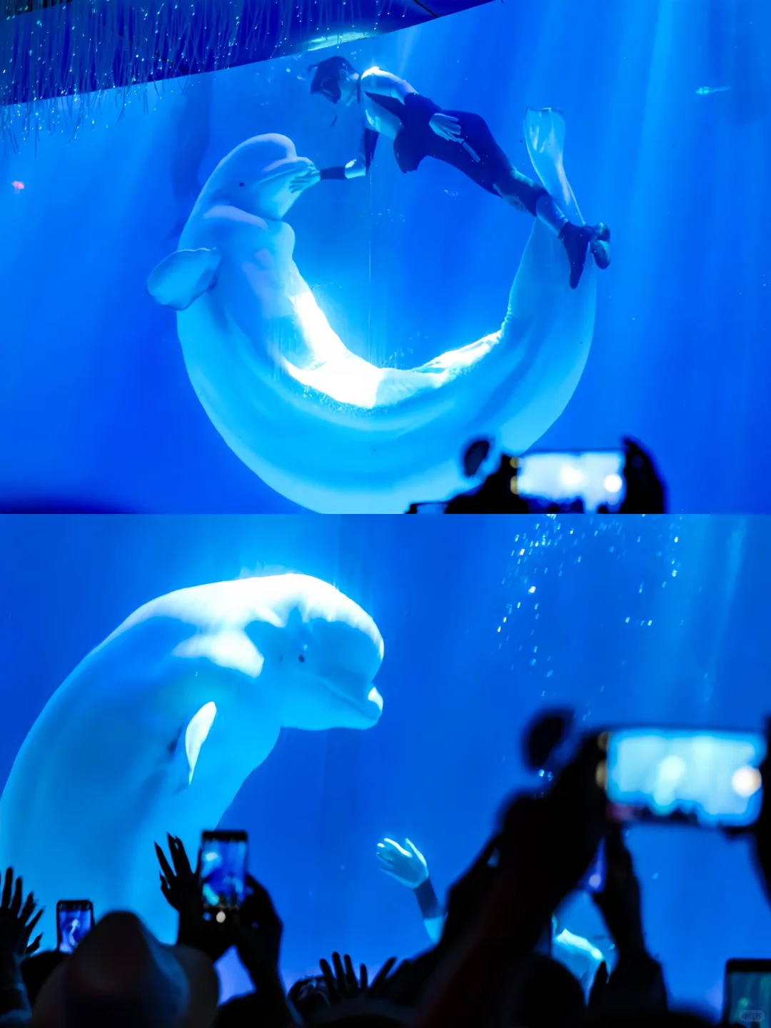 人生建议：去青岛一定要去的9个地方❗❗