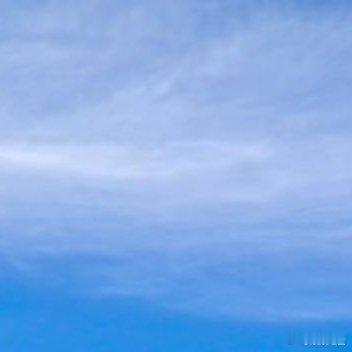 晨露滋润花草，绽放别样美丽。新一天，愿你像花草般绽放，展现独特魅力。 