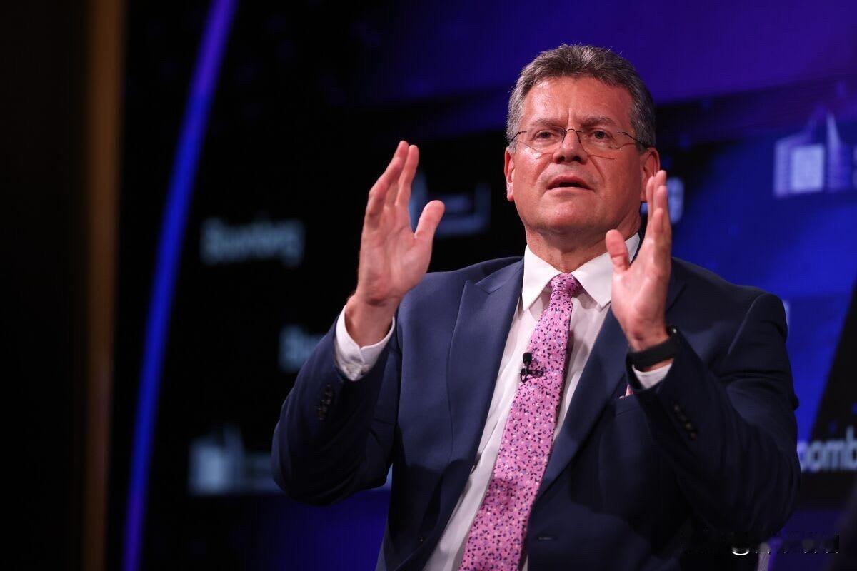 欧盟在美国压力下捍卫科技规则变革

欧盟正在推进数字监管的重大改革，包括推迟AI