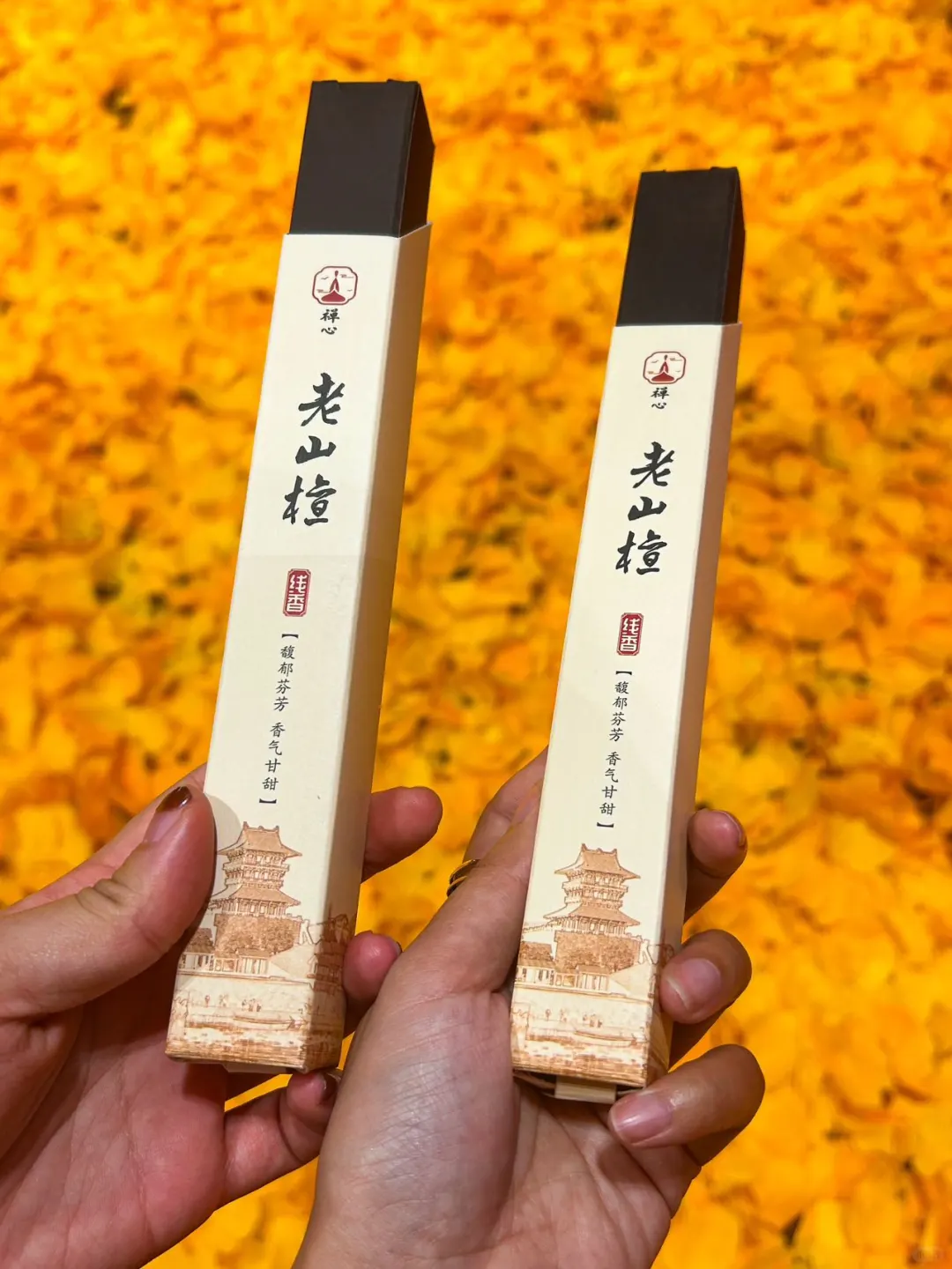 叶落知秋🍂长沙这里的秋天美翻了！