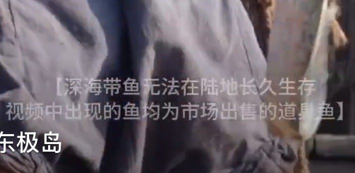 妈粉请放心罒ω罒 ​​​