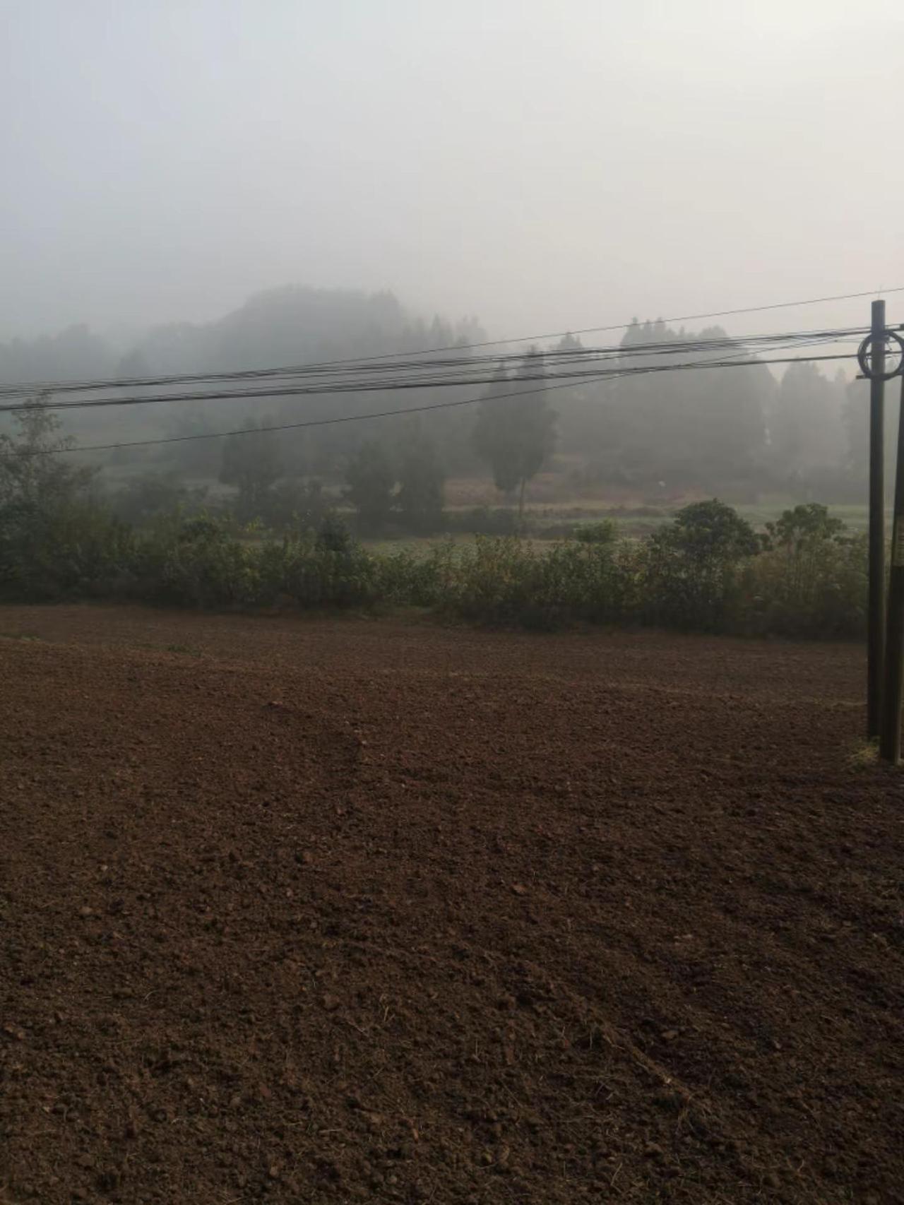 冬日的中午也是雾沉沉的，真的像冬天的感觉一样，那昨天温暖的阳光，今天在哪里去？农