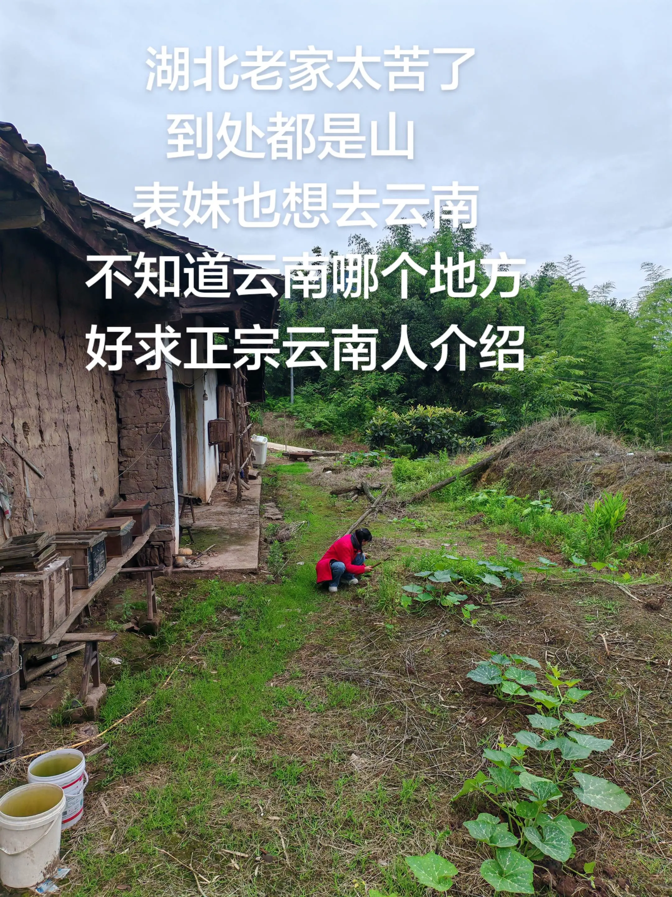 湖北老家太苦了，到处都是山，表妹也想去云南，不知道云南哪个地方好，求正...