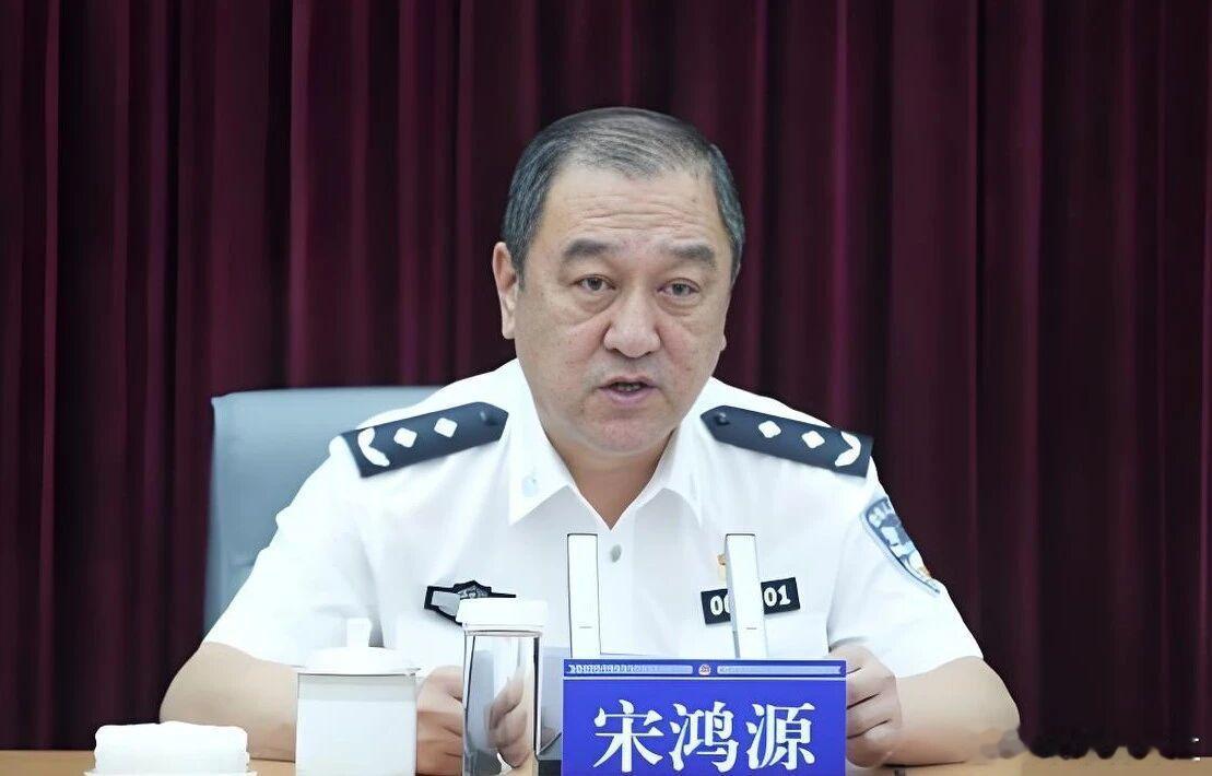 黑龙江省大庆市政府原副市长、市公安局原局长宋鸿源涉嫌严重违纪违法，目前正接受纪律