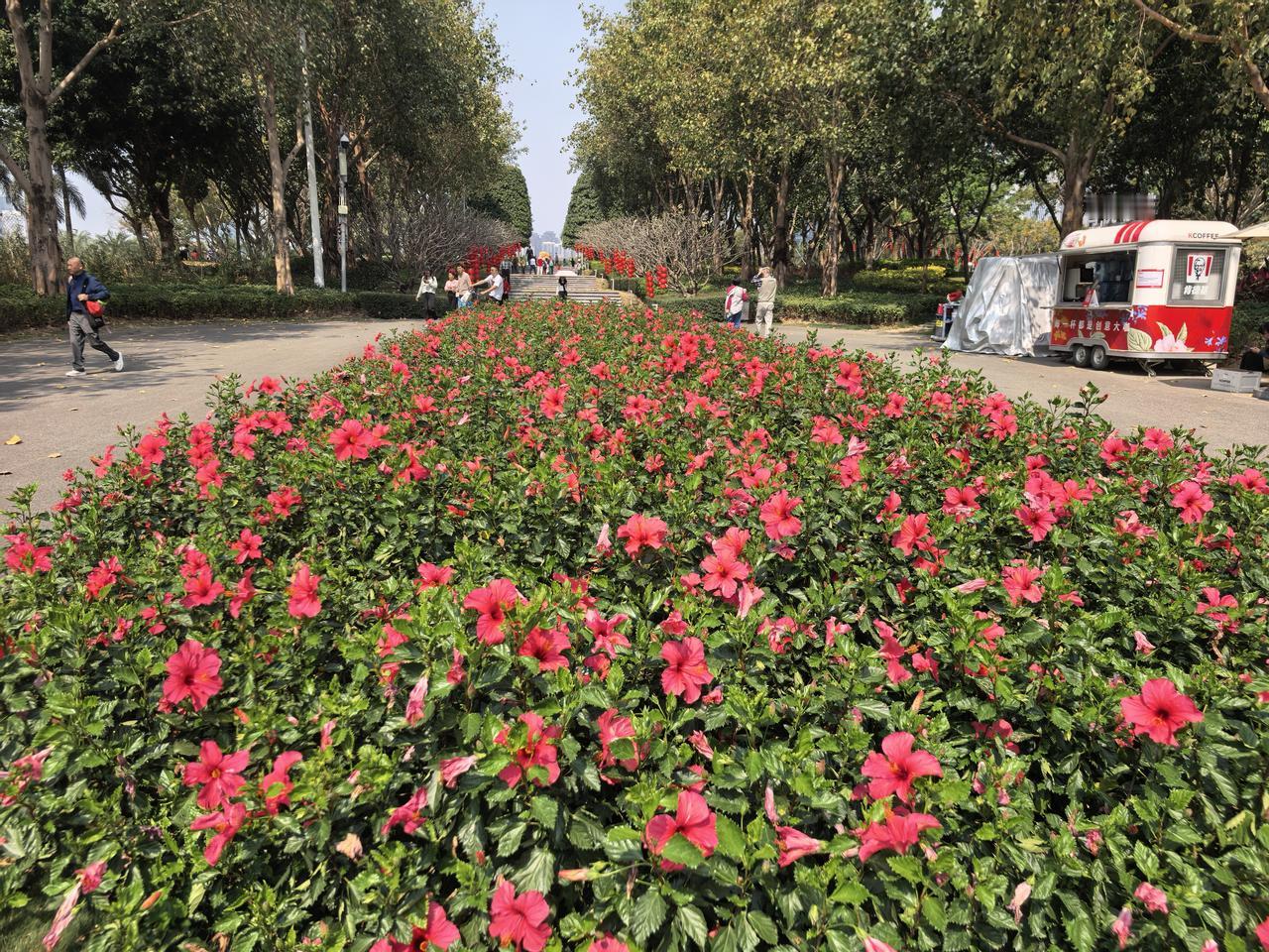 分享一张你最近随拍的照片正月初五，红红火火，好运连连。