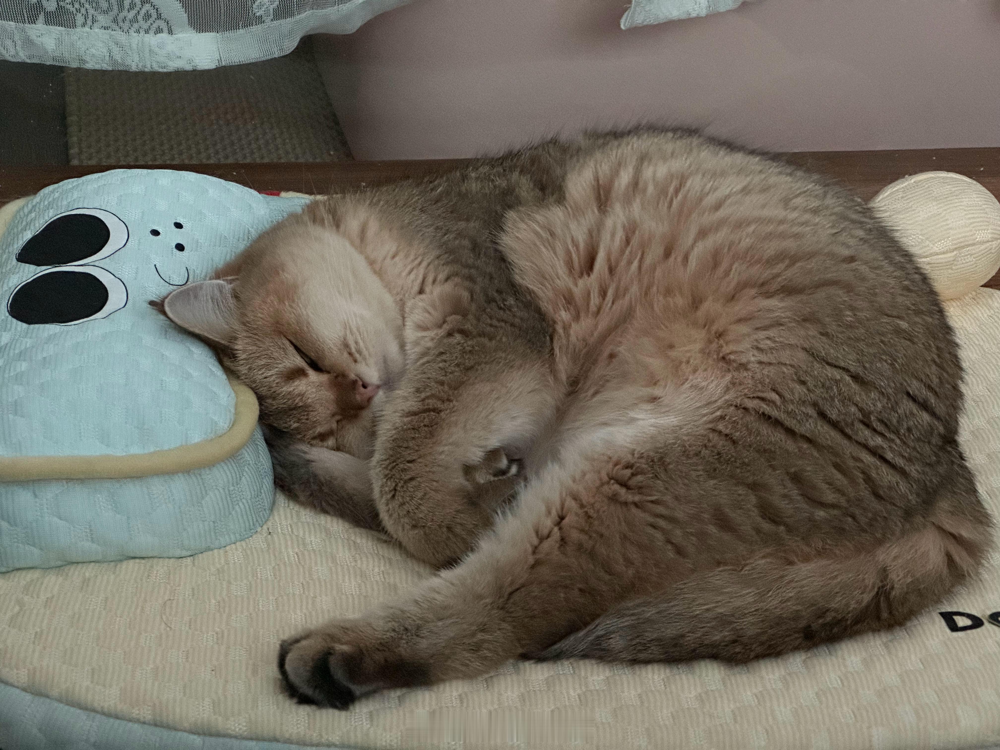 烧焦的大鸡腿 ​​​