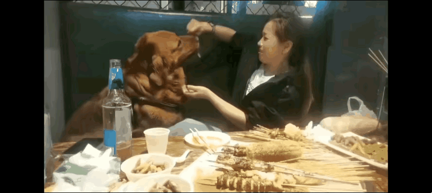我一个养狗的都看不下去了，在家你怎么喂都行，嘴对嘴喂狗也没有人管你，但是不能把狗
