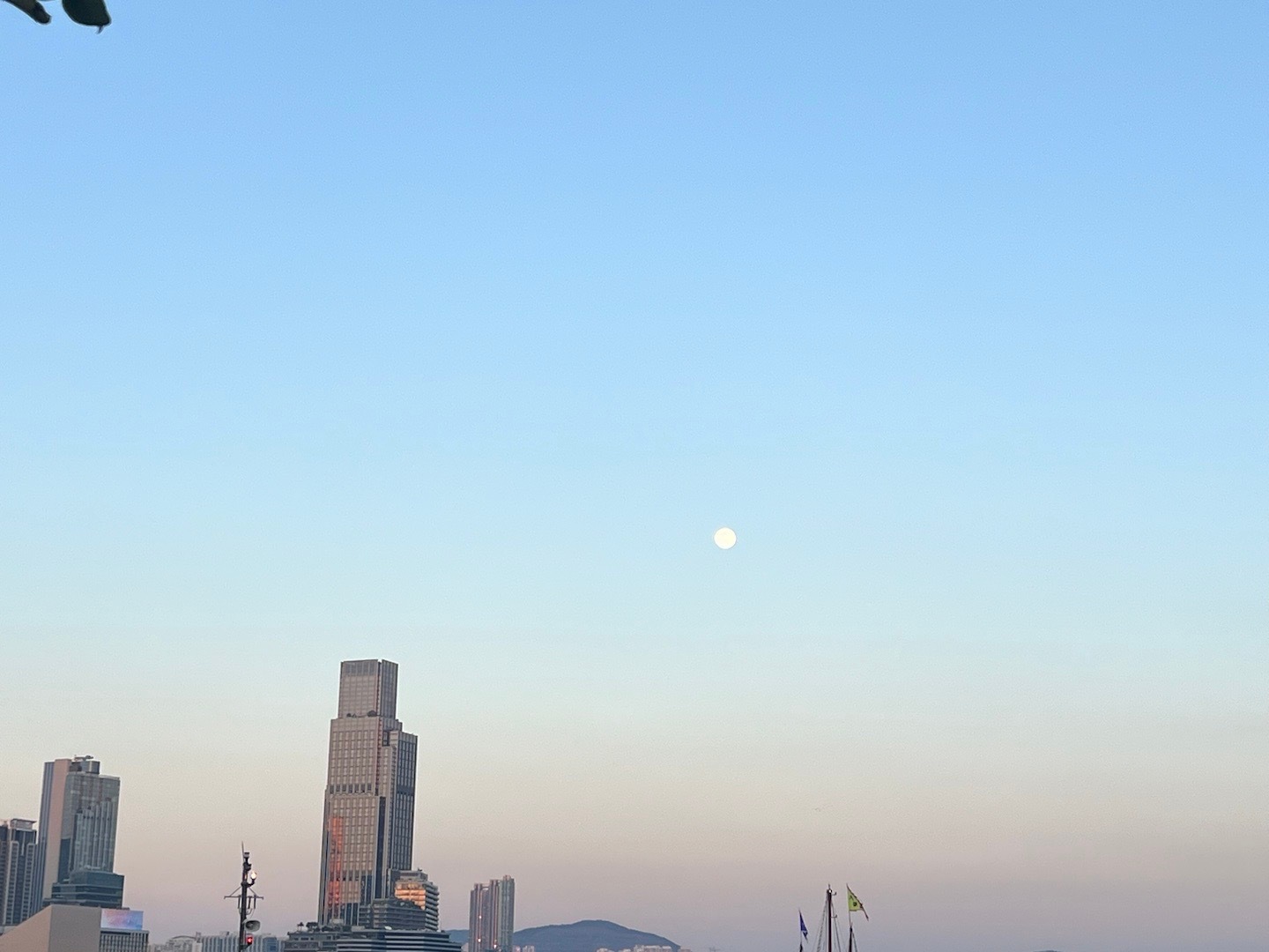 说了要带妹妹来香港今天就来了新年就是要有行动力呀 