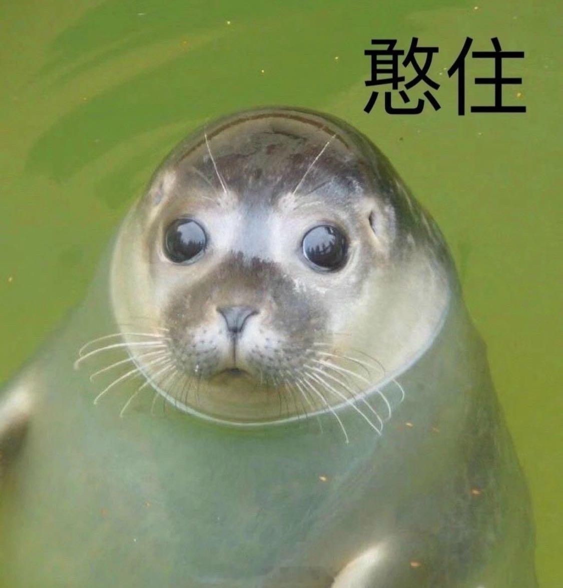 比发AB货更让人生气的是发AC货话说我之前也遇到过…买的是牛仔裤，长裤，而且加绒