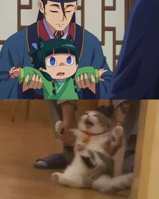 药屋少女的呢喃 动画里的猫猫 vs 现实里的猫猫动漫点评团