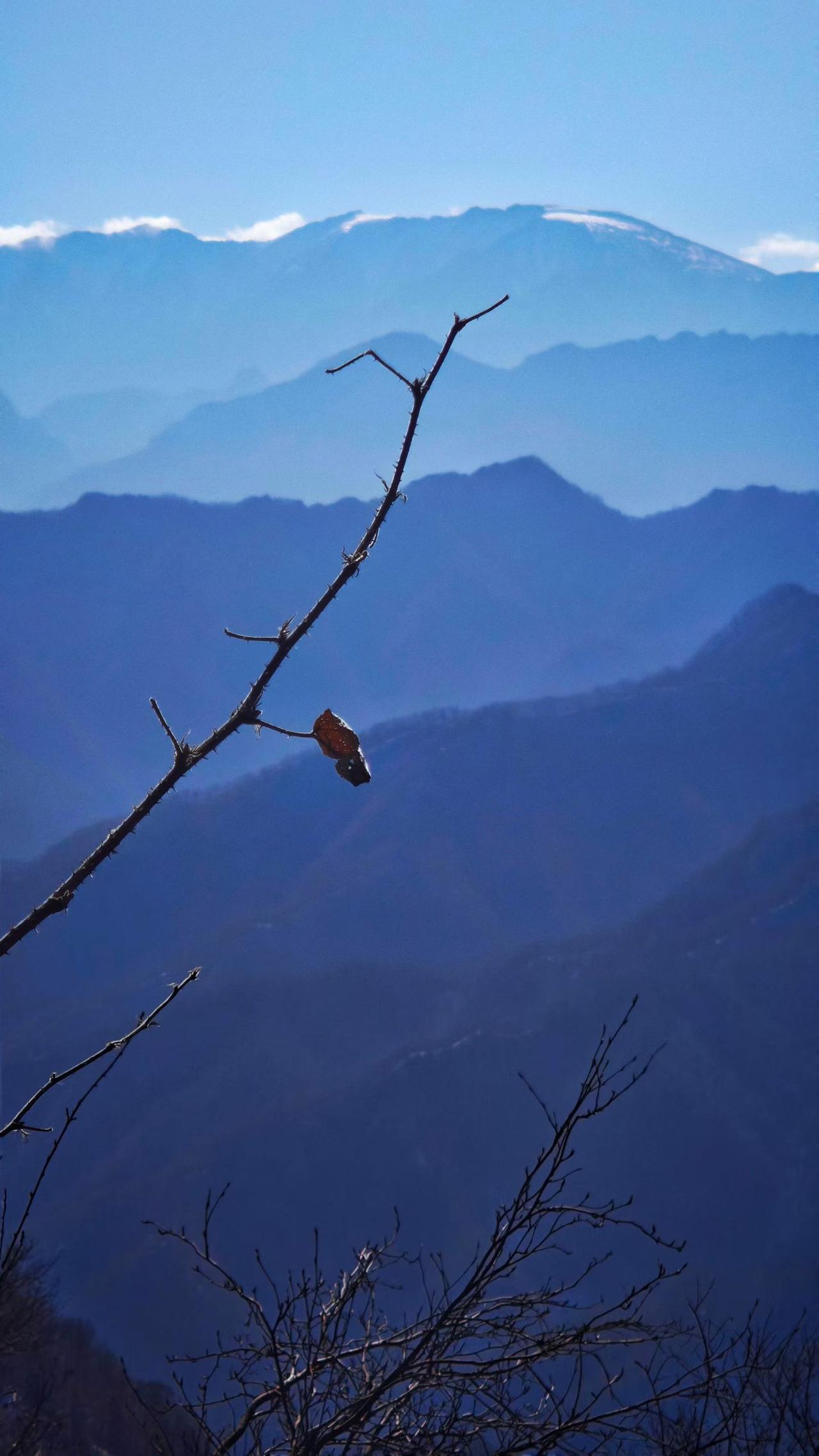        缓


不要慌，不要慌，太阳下山有月光。月亮睡着有曙光。

事缓则