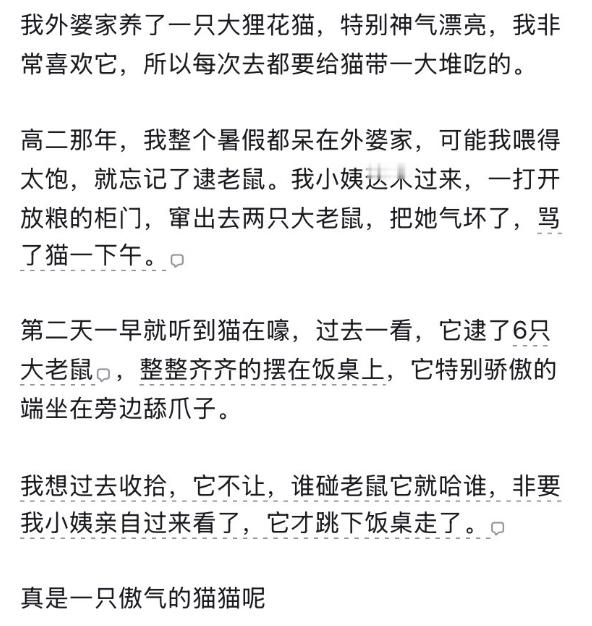 “真是一只傲气的猫猫呢！” ​​​