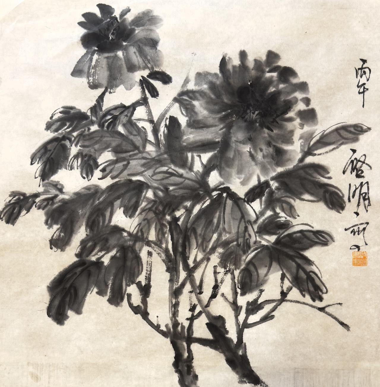 中国画牡丹 国画传承 写意国画牡丹 水墨写意牡丹欣赏 名家牡丹