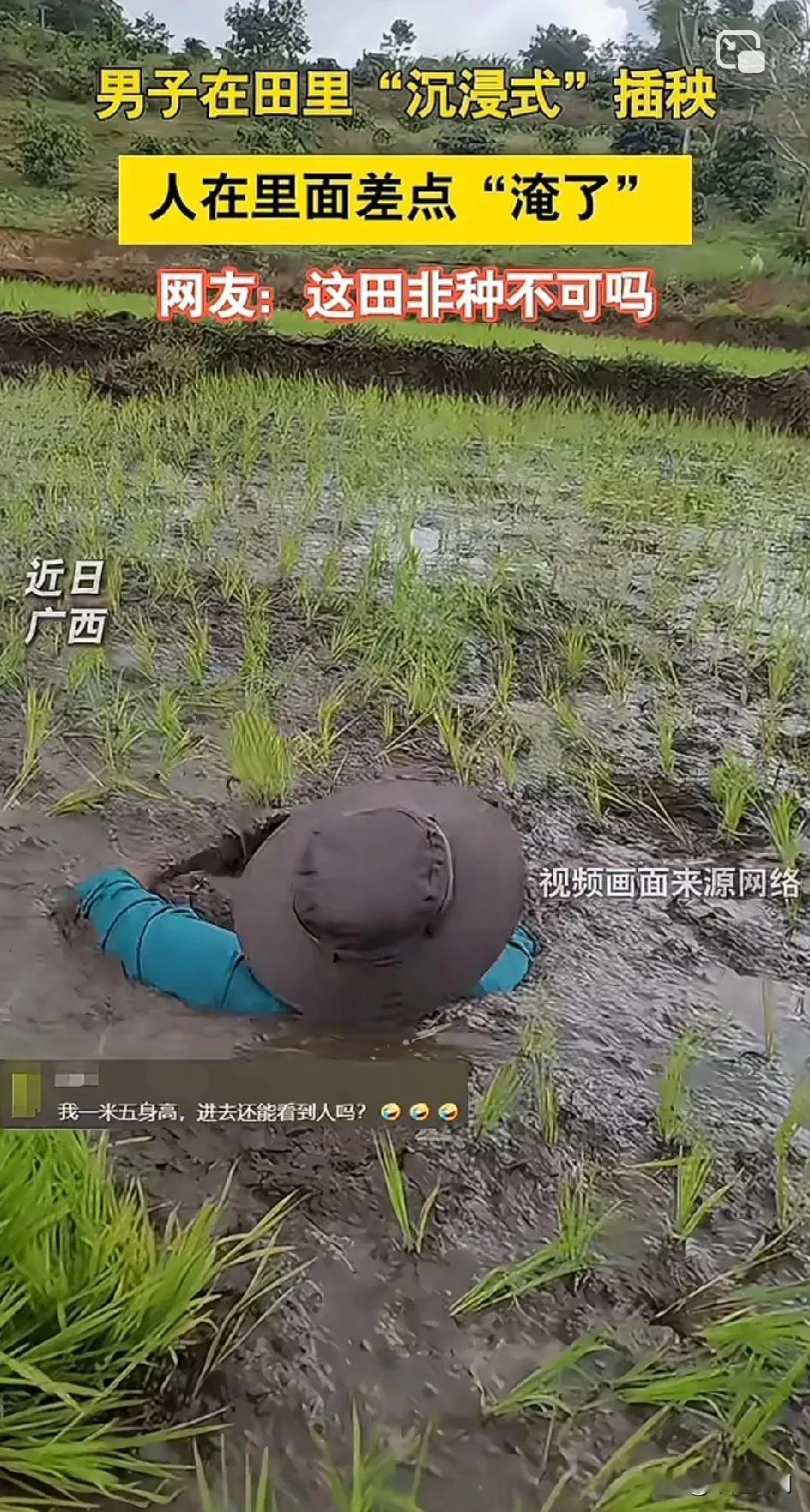 本以为第一张图是假的，
没想到
第二张图一群人深陷其中！
咱就说这稻田非得耕的那