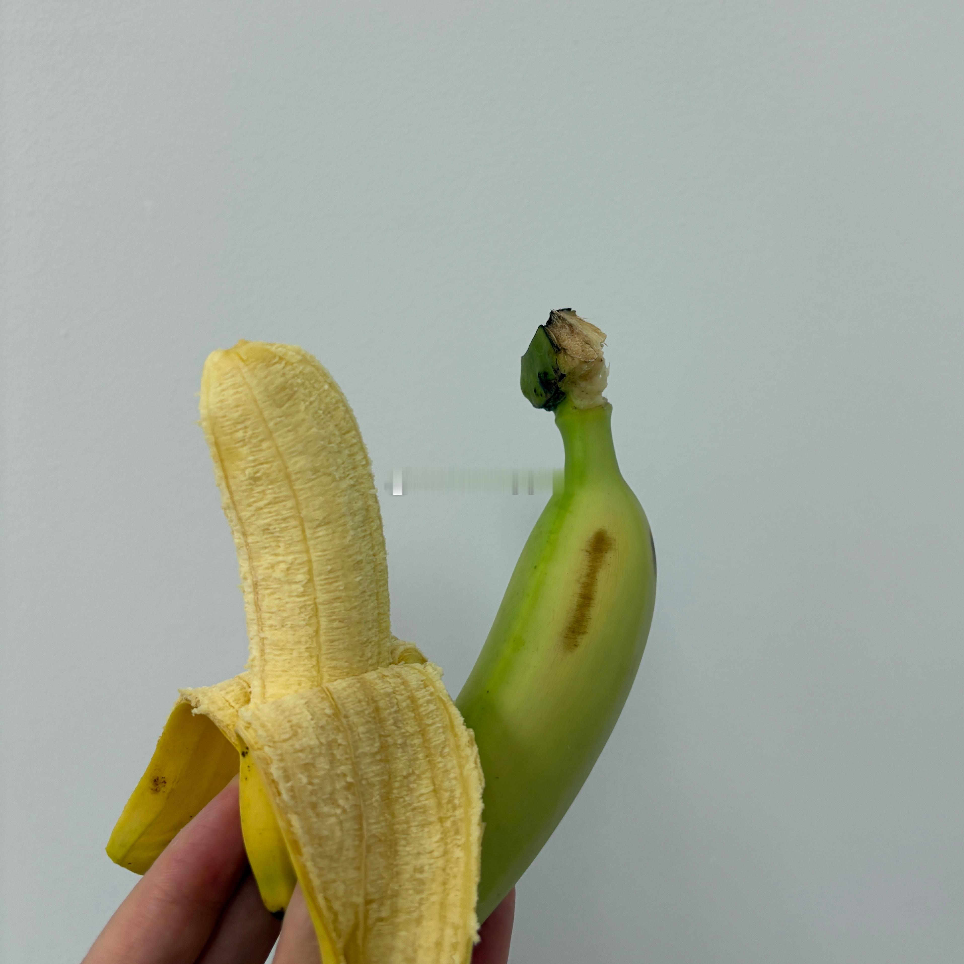今天也吃迷你香蕉了🍌放一晚 青皮就变黄了 这时候吃的口感刚刚好 