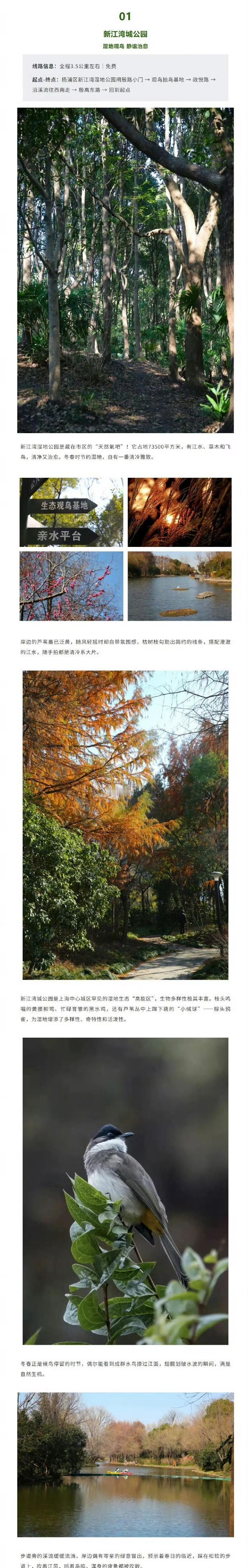 悦生活享美好[上海5条轻徒步路线!好走出片还免费]过年期间被各种美食投喂，是不是