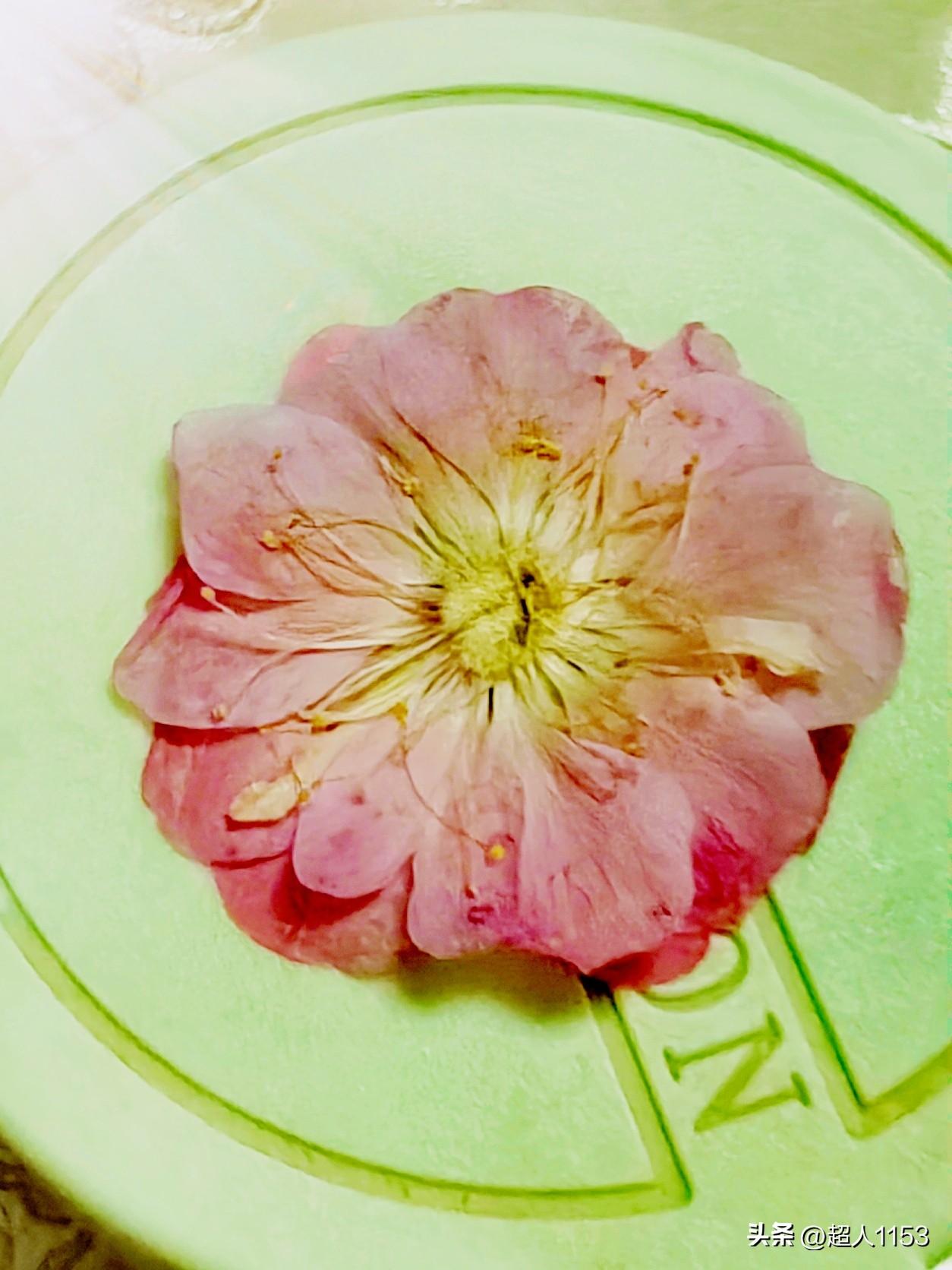 今天是3月31日，
也是三月的最后一天。

四月你好，三月再见。
愿三月的温柔，