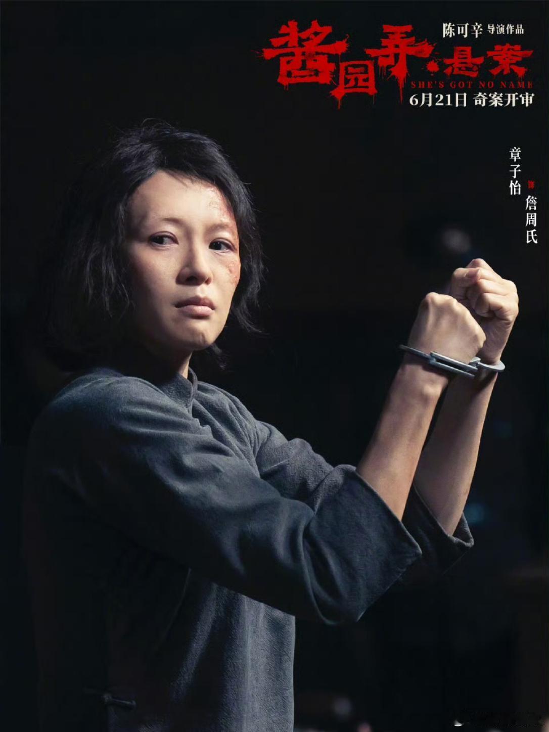 酱园弄悬案全员亮相，《酱园弄》第一部《酱园弄·悬案》定档。海报上詹周氏（章子怡 