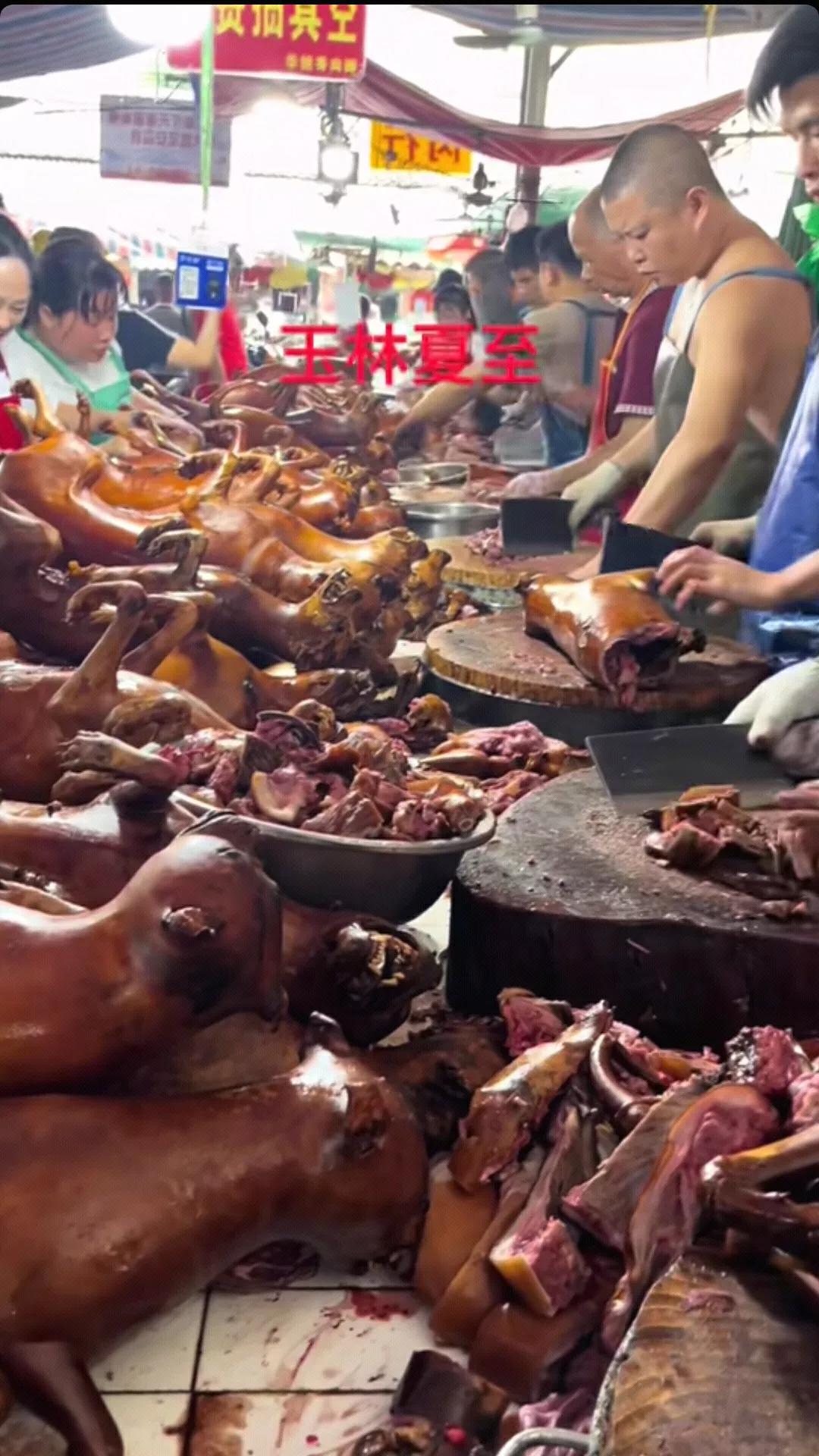 事实证明，某些爱狗人士采取极端的方式抵制并没有起到什么作用，玉林狗肉节依旧一派繁