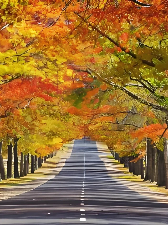 新疆享自由，北疆14深度行，清爽透凉就出发