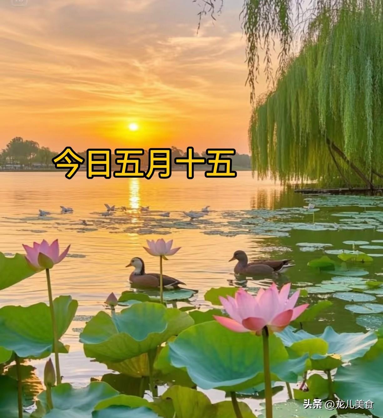 不是迷信！今日五月十五，记得：1不穿，2不吃，3不做，别不当事
日子过得飞快，端