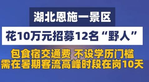 别人去恩施看风景，这12个人却要钻进山里扮“野人”，上岗10天，景区还包食宿交通