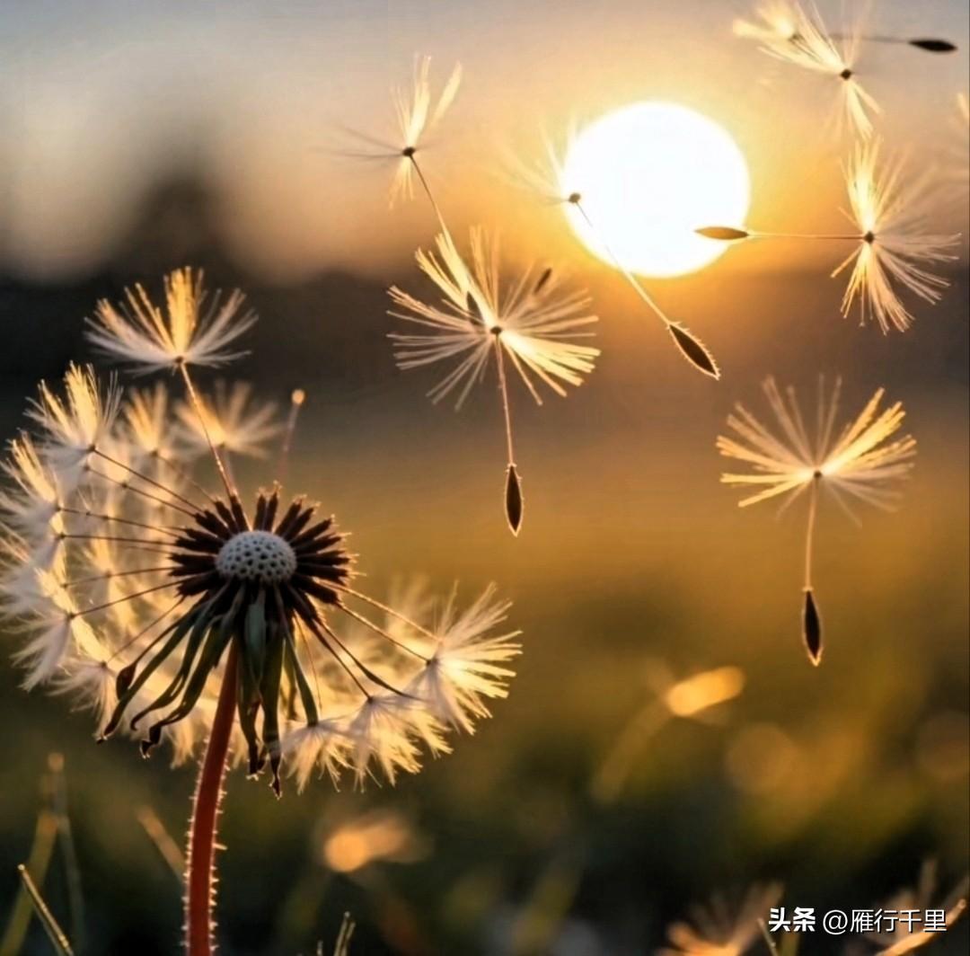 普通人一生仅有的四次翻身机会，老祖宗说：

第一次机会：少而好学，如日出之阳
