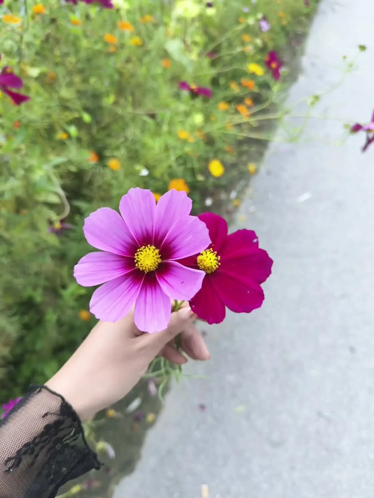 何止是时间，还有曾经的自己\。