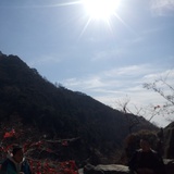 小晃最爱体育