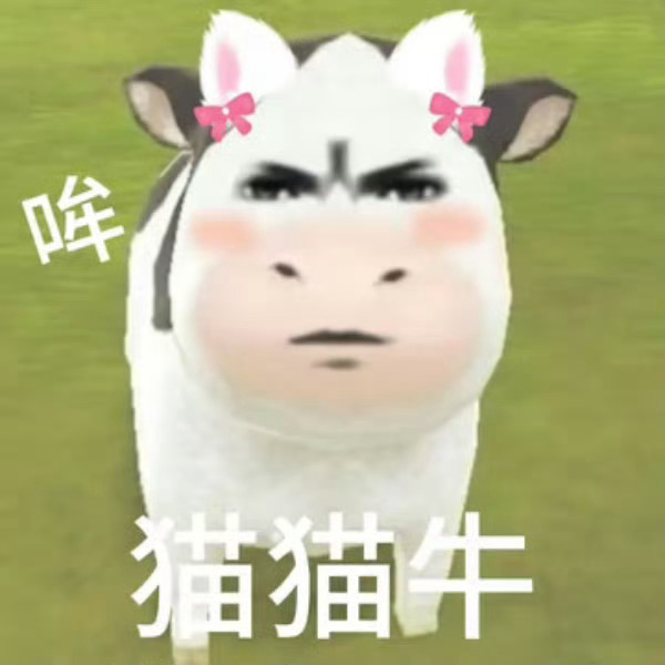 修正关注了🍵
