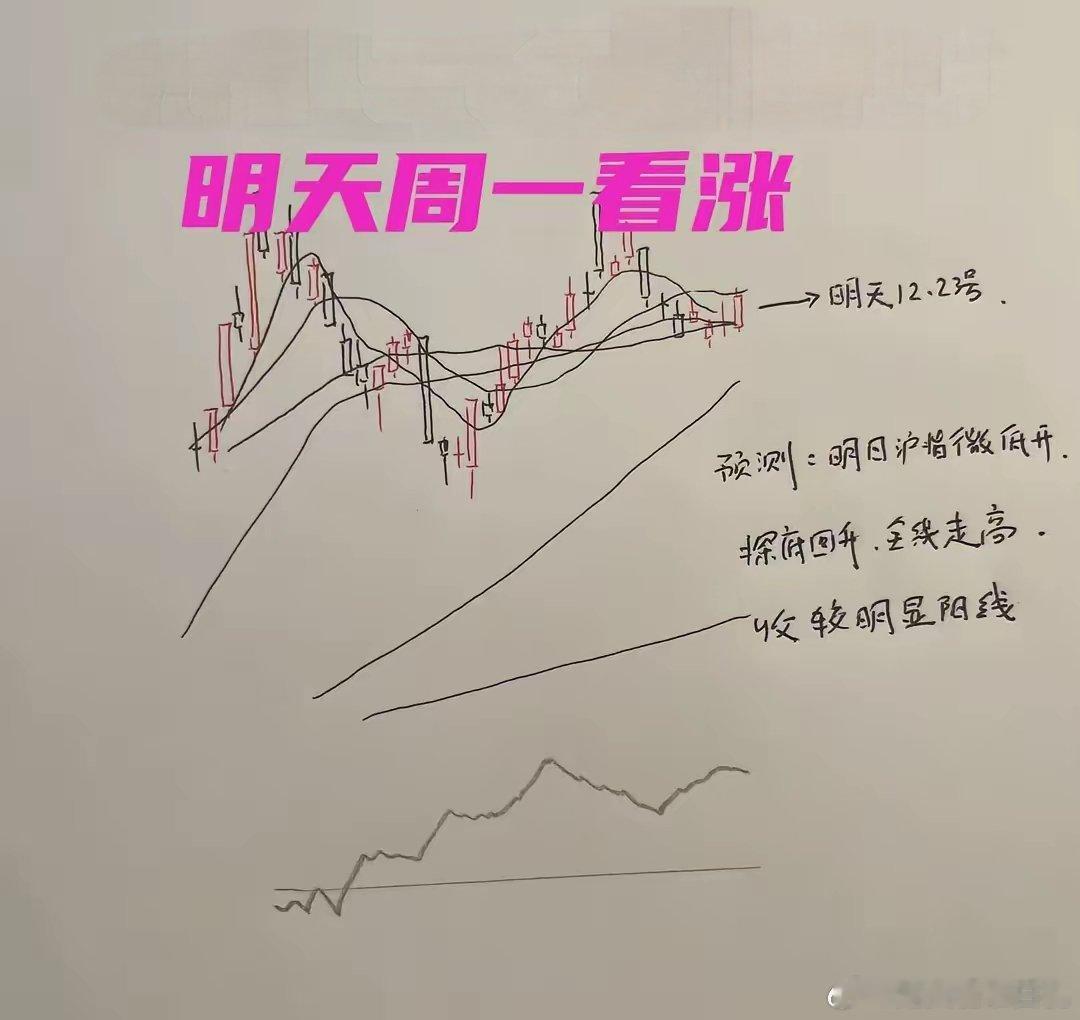 A股所有大V明天大盘行情晴雨表！明天是2024年12月23日，周一，各位大V文章